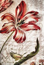 XL deursticker bloem design 2880777_ds